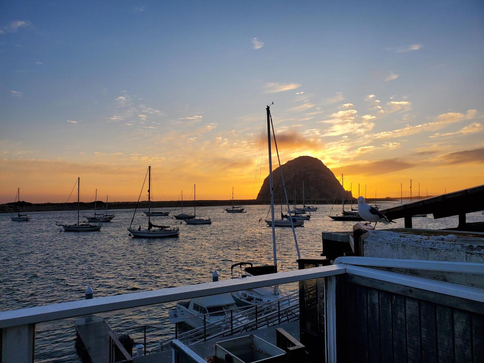 Gray'S Inn & Gallery Morro Bay Dış mekan fotoğraf